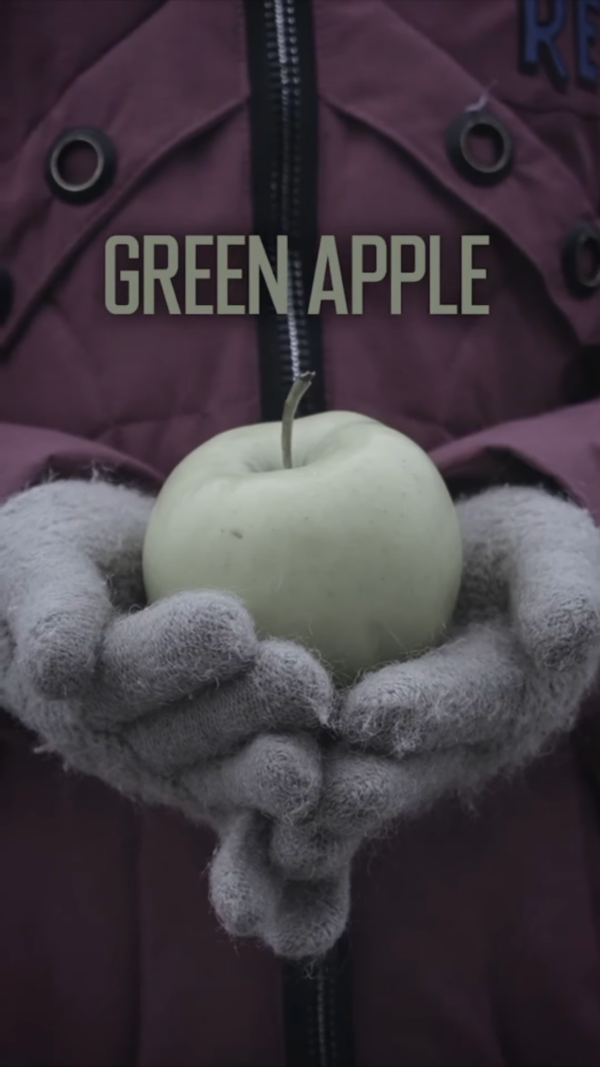 Интернет-мюзикл Green apple